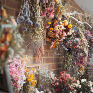 Dried Flowers