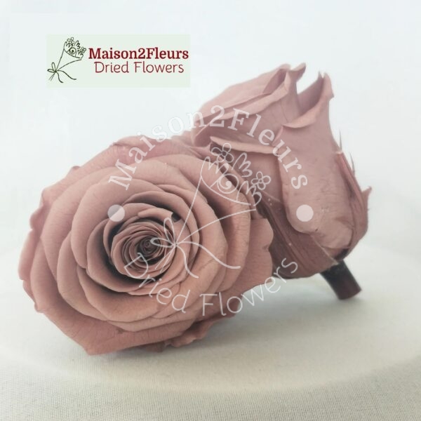 Preserved Rose Heads 5-6cm - 6pcs/box  - CARAMEL