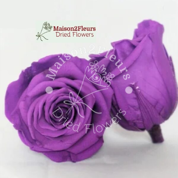 Preserved Rose Heads 5-6cm - 6pcs/box - Premium Quality - PURPLE