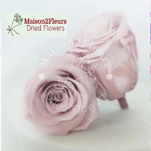 Preserved Rose Heads 3-4cm - 12pcs/box  - COLD PINK