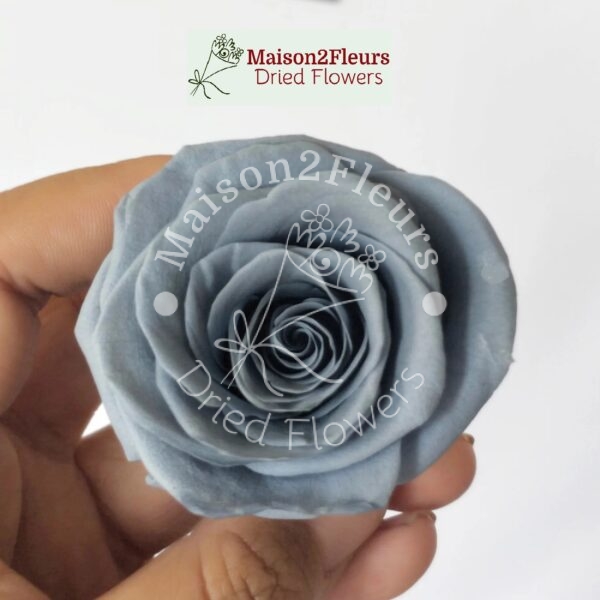 Preserved Rose Heads 5-6cm - 6pcs/box - Premium Quality - GREY