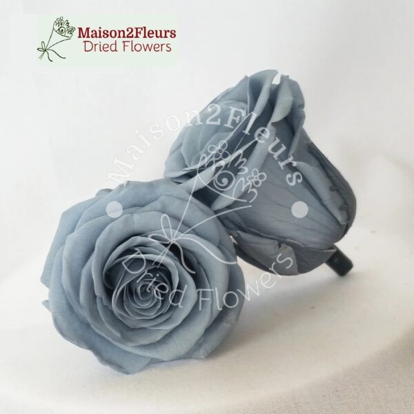 Preserved Rose Heads 2-3cm - 21pcs/box  - GREY - Image 3