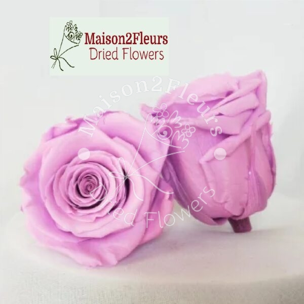 Preserved Rose Heads 5-6cm - 6pcs/box - Premium Quality - PINK PURPLE