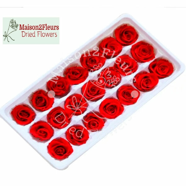 Preserved Rose Heads 2-3cm - 21pcs/box  - RED - Image 2