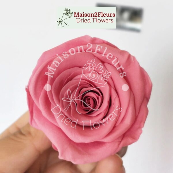 Preserved Rose Heads 2-3cm - 21pcs/box  - SWEET PINK