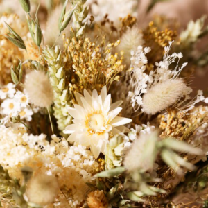 Dried Flowers Natural