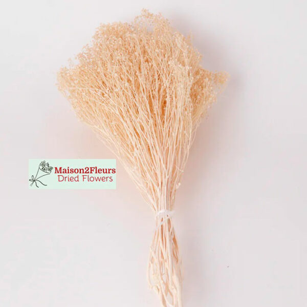 Broom Bloom Dried Bunch Extra 100Gr - BLEACHED - Image 3