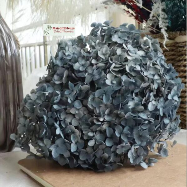 Preserved Hydrangea Anna Heads - Extra Quality - GREY