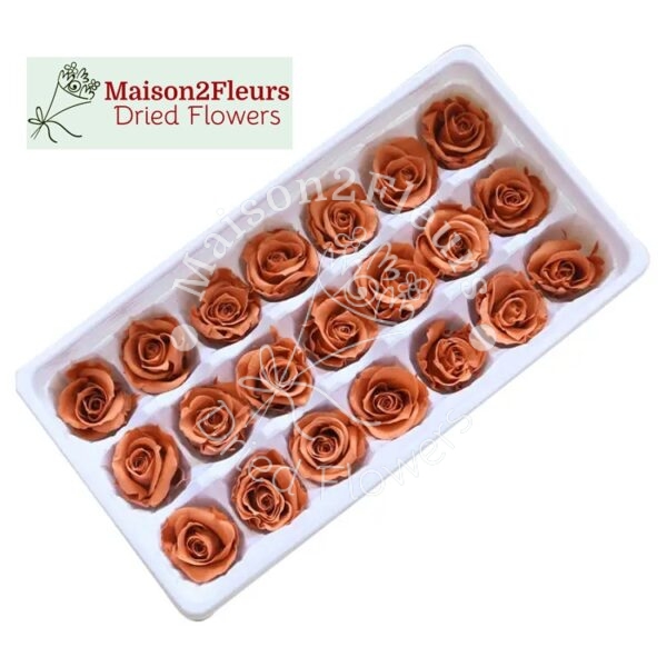 Preserved Rose Heads 2-3cm - 21pcs/box  - AGATE - Image 2