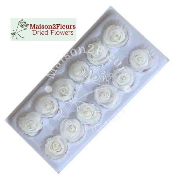 Têtes de Roses Stabilisées 3-4cm - 12pcs/boîte - BLANC – Image 3