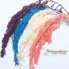 Preserved Amaranthus Caudatus - LIGTH PURPLE - Image 2