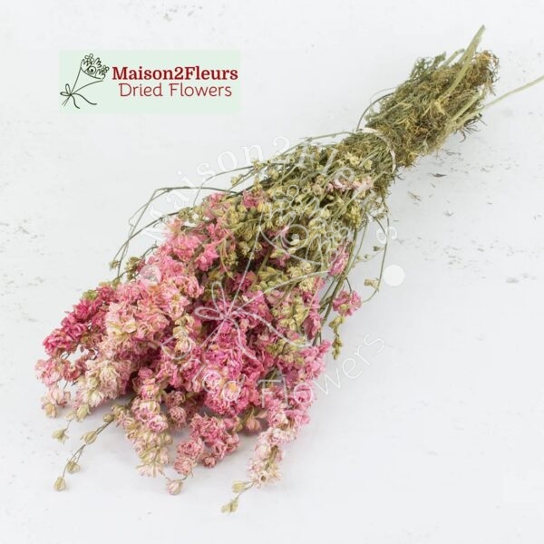 Delphinium Dried Bunch Extra - NATURAL PINK