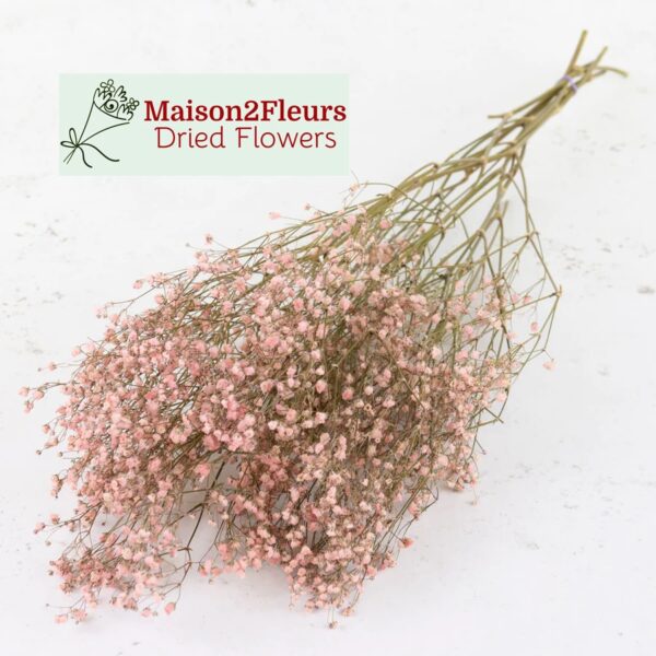 Gypsophila Dried Bunch Extra - PINK