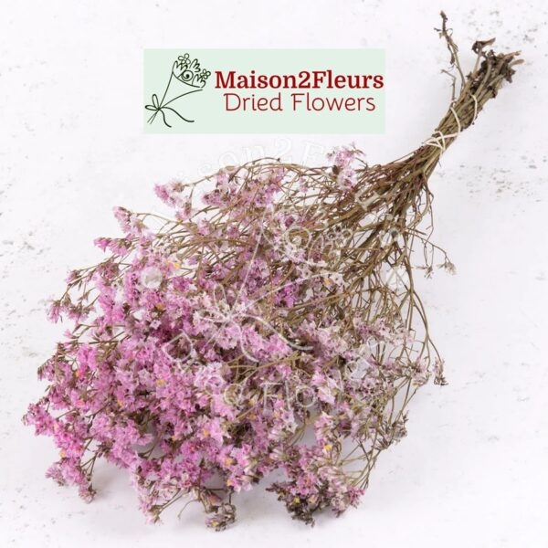 Limonium Sinensis Dried Bunch Extra 60cm - NATURAL PINK