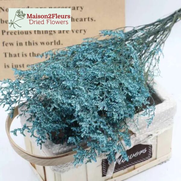 Preserved Limonium Caspia - Extra Quality - AZURE