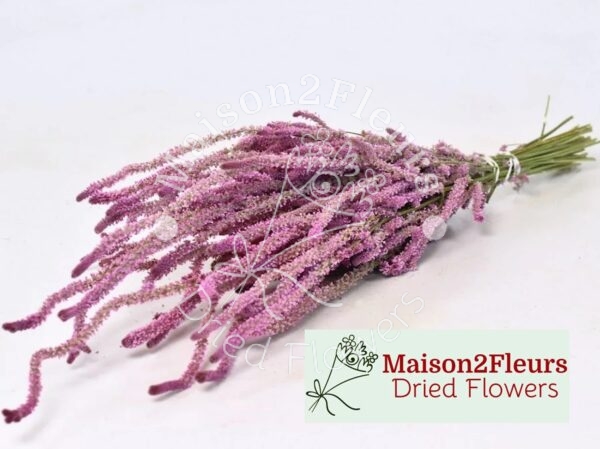 Limonium Suworowii Dried Bunch - Natural Pink