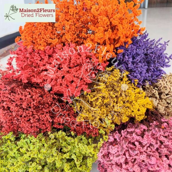 Limonium Sinensis Dried Bunch Extra 60cm - TERRACOTA - Image 2