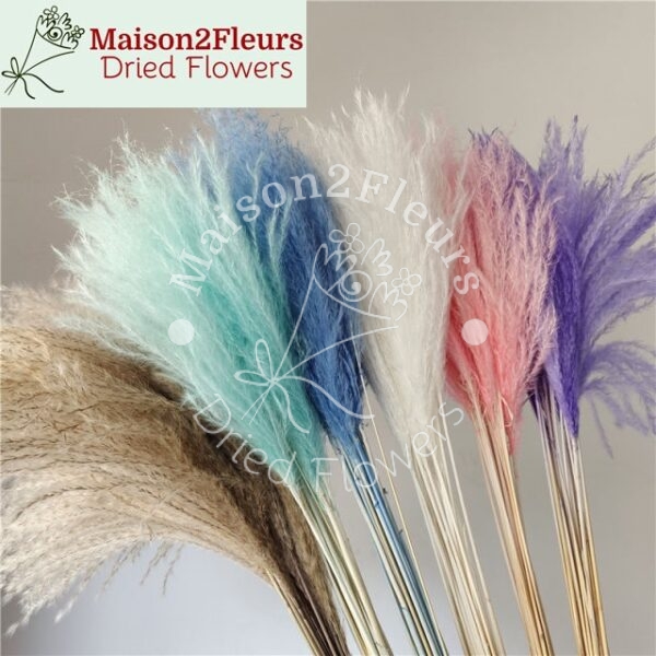 Miscanthus Dried Bunch - Natural - Image 2