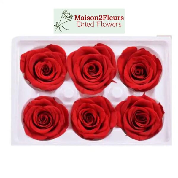 Preserved Rose Heads 5-6cm - 6pcs/box  - RED - Image 2