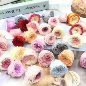 Royal Rose Heads 4-5cm