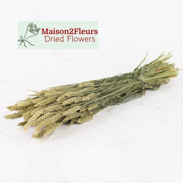 Wheat Dried Bunch Extra - Natural