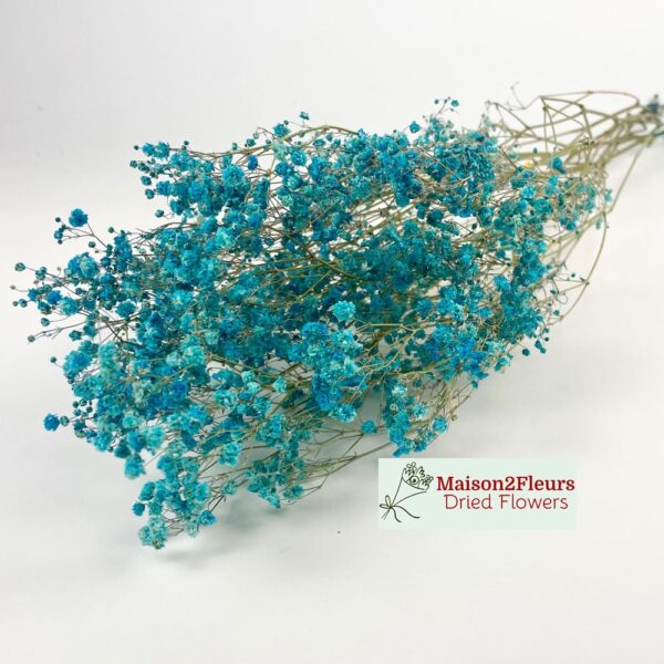 Gypsophila Dried Bunch Extra - BLUE