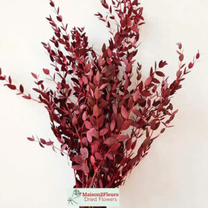 Eucalyptus Parvafolia Preserved – RED