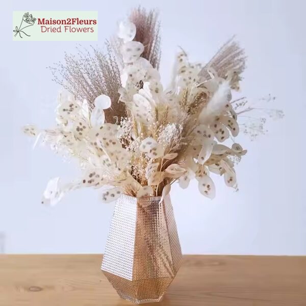 Lunaria Dried Bunch - Primium Quality - NATURAL PEELED - Image 3