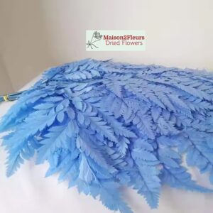 Leather Fern Preserved Sky Blue